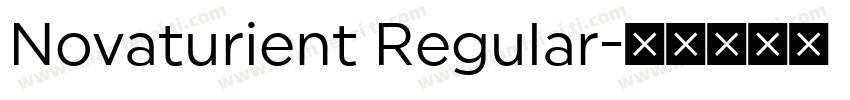 Novaturient Regular字体转换